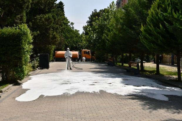 Paytaxt parklarında təmizlik-dezinfeksiya tədbirləri görülüb